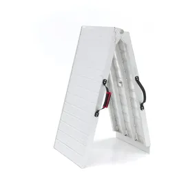 ACEBIKES Ramp Pro Max