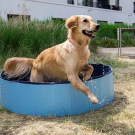 PETS DELI CoolPets Dog Pool - Medium