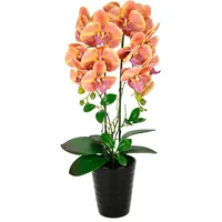 I.GE.A. Kunstblume I.GE.A. "Orchidee", orange, B:26cm H:58cm L:18cm, Kunstpflanzen, Im Topf Phalaenopsis Orchidee Phalaenopsis mit Übertopf Hochzeit