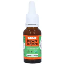 Dr. Muche GmbH Ingwertropfen+vitamin B12 Dr. Muches