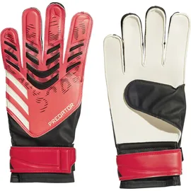 adidas Predator Training Schwarz/Lucid Red/Black 11