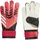 adidas Predator Training Schwarz/Lucid Red/Black 11