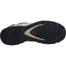 Salomon XA Pro 3D V9 GTX Schuhe (Größe 37 - grau)