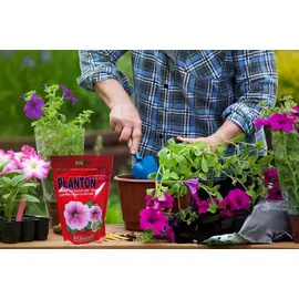plantpol zaborze Flüssigdünger für Petunien und Surfinien 400 g