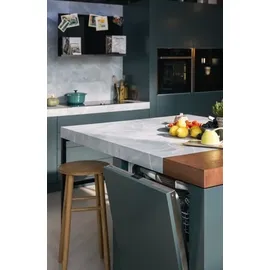 Neff N50 S255ECX06E Einbau-Geschirrspüler (vollintegrierbar, 598 mm breit)