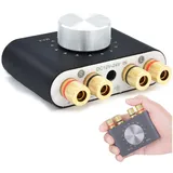 ZREE 100W Mini HiFi Verstärker 2.0 Kanal mit Bluetooth/USB/AUX-Eingängen Audioverstärker (Anzahl Kanäle: 2, 5.0 Bluetooth,PC Audio Verstärker für Passive Lautsprecher/PC/Tablet) schwarz