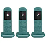 TELEKOM Speedphone 12 Trio petrol