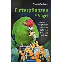 Futterpflanzen für Vögel