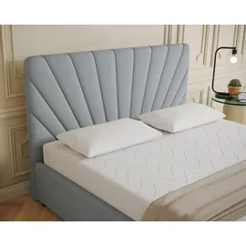 panda möbel Polsterbett RAY - Komfortbett mit Stauraum, Doppelbett, Hellgrau, 160x200cm, Taschenfederkernmatratze, H3 - Hellgrau