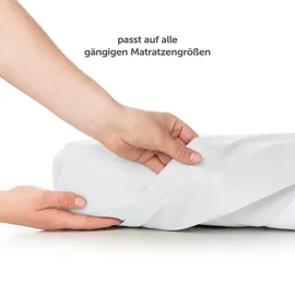 Blumtal Bettlaken Mikrofaser 240 x 275 cm weiß