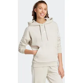 adidas Essentials Small Logo Feel Cozy Kapuzenpullover Wonder Alumina / White L