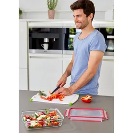 Emsa Frischhaltedose rechteckig rot 33 x 23 cm 3 l