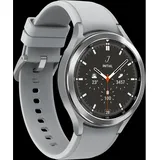 46 mm LTE Silver