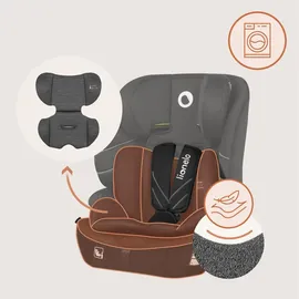 lionelo Levi Fix i-Size Grau