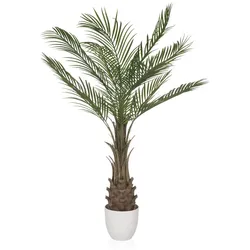 hjh OFFICE Kunstpflanze DRACAENA Kunststoff