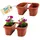 GarPet Balkonkasten 50 x 19,8 x 18,5 cm Rot