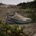 adidas Terrex Trailmaker 2 Herren Savanna/Cardboard/Grey Six 38 2/3