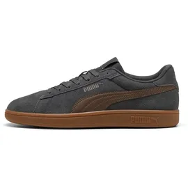 Puma Smash 3.0 Unisex Grau/Bronze 42