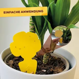 Solabiol Gelbsticker 10 Stück