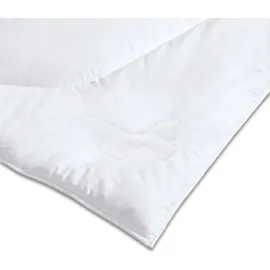 Kauffmann Wildseide Sommer-Bettdecke -200x200cm