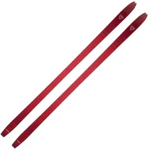 Rossignol BC 80 Positrack Langlaufski - Multicolor - 166