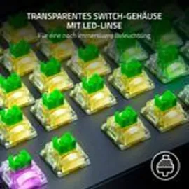 Razer Mechanical Switches Pack - Clicky Gen-3 Switch Set, 36er-Pack (RC21-02040200-R3M1)