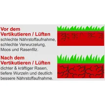 SCHEPPACH Benzin-Vertikutierer SC55P 40 cm Arbeitsbreite
