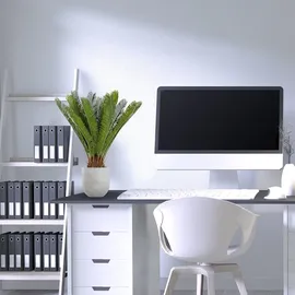 HJH Office Kunstpflanze CYCAS Kunststoff, Stoff