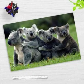 cover-your-desk Schreibtischunterlage für Kinder Koala, aus hochwertigem Vinyl, 60 x 40 cm