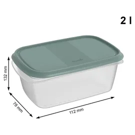 Rotho Frischhaltedose grün 6-teiliges Set