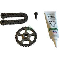 schaeffler ina INA Kettensatz, Ölpumpenantrieb 558011810 für VW
