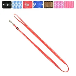 Kombi Hundeleine für kleine Hunde bis 3kg