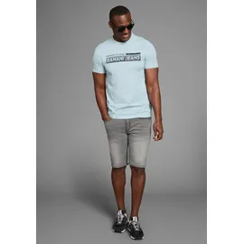 Bruno Banani T-Shirt BRUNO BANANI, Herren, Gr. L (52/54), blau (blau grau), Single Jersey, Obermaterial: 100% Baumwolle, bedruckt, slim fit, Rundhals, Shirts T-Shirt, in schmaler Passform