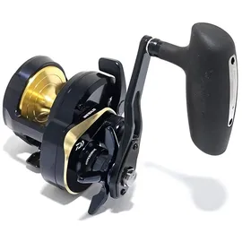 Daiwa Saltiga 24 G 15L