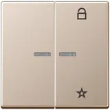 Jung Taster FM A 1701 CH