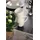 Villeroy & Boch Vivo Basic White Kaffeebecher 6er Set weiß