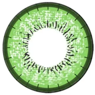 Matlens – EOS Farbige Kontaktlinsen mit Stärke circle lenses grün green J-203 2 Linsen 1 Kontaktlinsenbehälter 1 Pflegemittel 50ml
