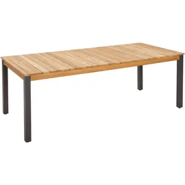 Zebra Technologies Tischplatte 100x220 cm Holz Teak