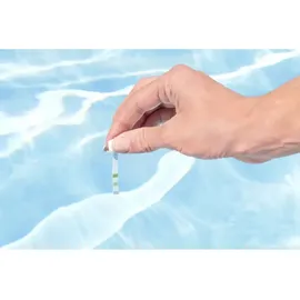 BESTWAY AquaClear Poolpflege Set (58794)
