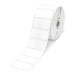 Epson Etiketten, Kunststoff, 203x152mm, C33S045553