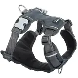 Red Dingo Polsterung Grau