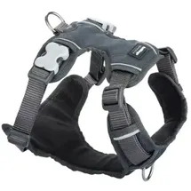 Red Dingo Polsterung Grau