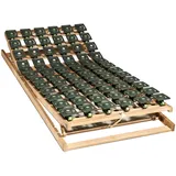 Elza Maxiflex N Tellerrahmen KF - 100x200cm	KF=Kopf- Fußteil verstellbar