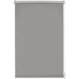 GARDINIA EASYFIX Rollo Thermo 100 x 210 cm grau