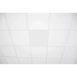 VASNER Infrarotheizung InfraRaster 62E für Rasterdecke 350 W 62,5 cm x 62,5 cm