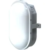 Megatron LED-Ovalleuchte Kunststoff 8 W 1000 lm grau