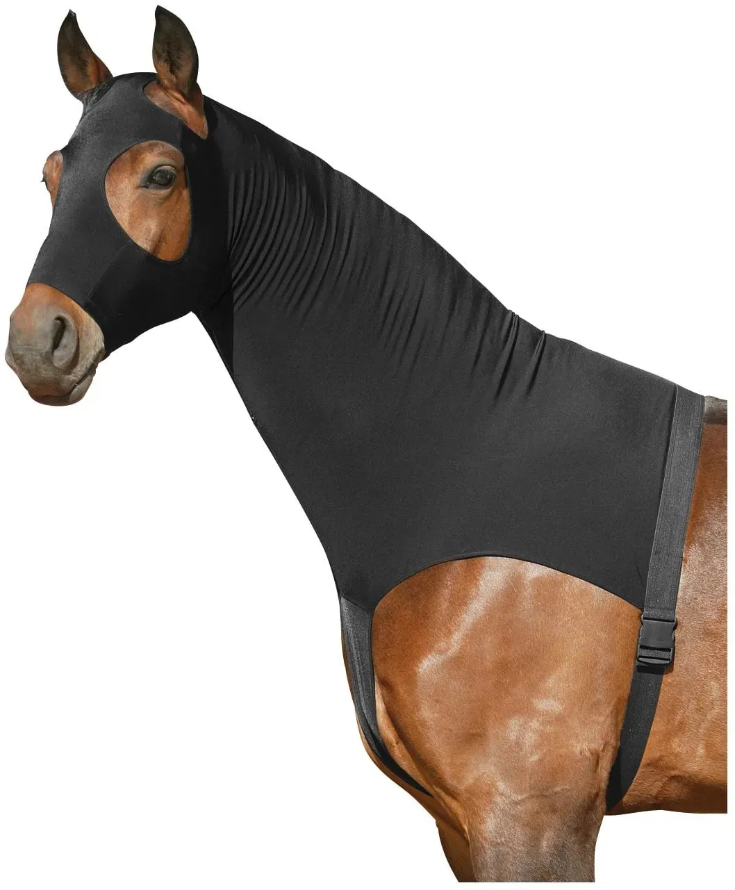 Horse-friends Sleezy schwarz