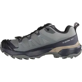 Salomon X Ultra 360 GTX Damen Sedona Sage/Urban Chic/Etherea 37