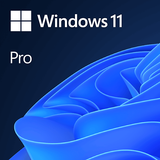 Microsoft Windows 11 Pro USB-Stick DSP/SB DE