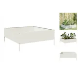 vidaXL Hochbeet 100 x 100 x 25 cm Weiß